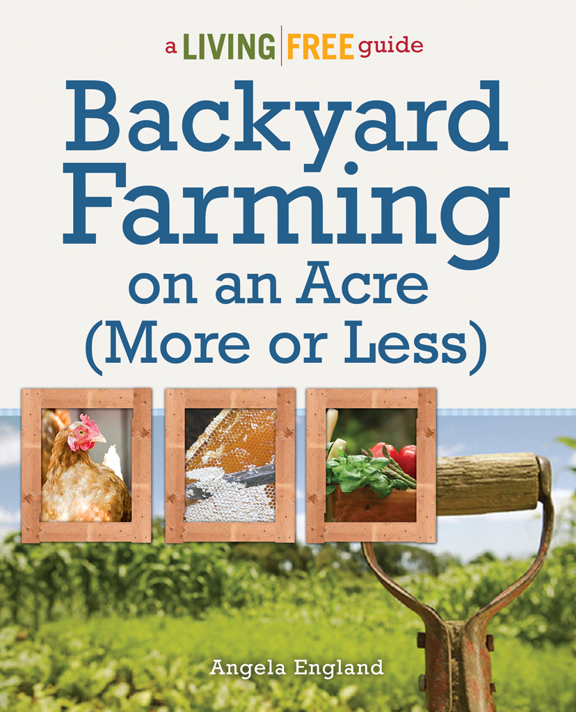 backyard farming cover